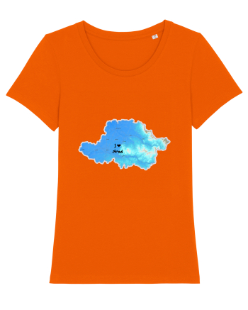 Arad County Map Bright Orange