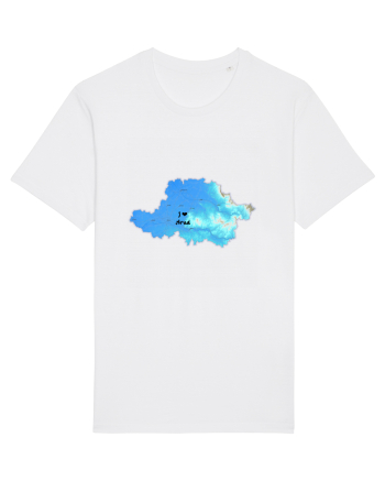 Arad County Map White