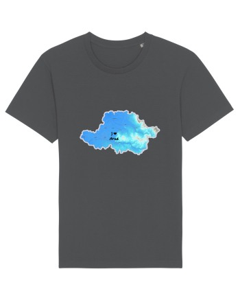 Arad County Map Anthracite