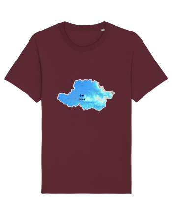 Arad County Map Burgundy