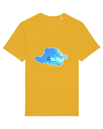 Arad County Map Spectra Yellow