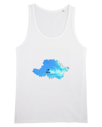 Arad County Map White
