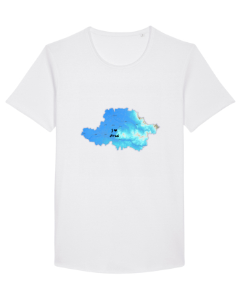 Arad County Map White