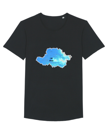 Arad County Map Black