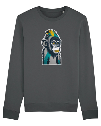 monkey pop Anthracite