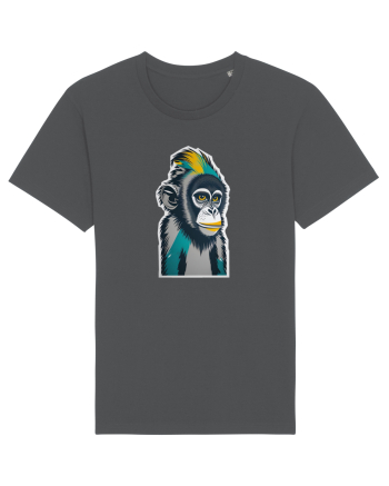 monkey pop Anthracite