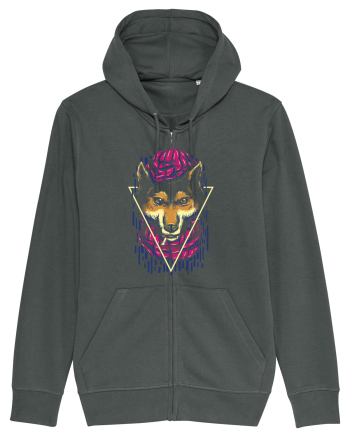 Don Wolf Anthracite