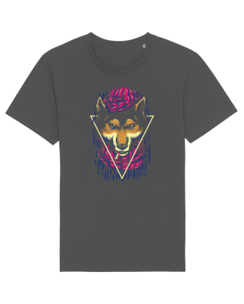 Don Wolf Anthracite
