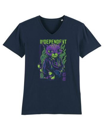 Independent French Navy
