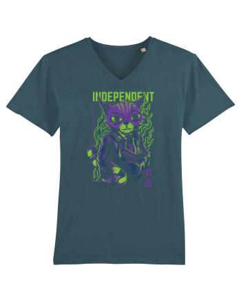 Independent Stargazer