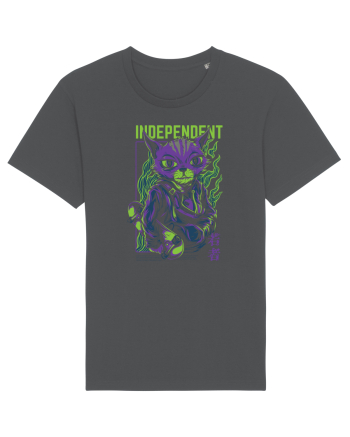 Independent Anthracite
