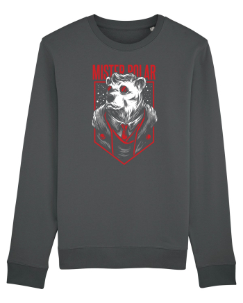 Mister Polar Anthracite
