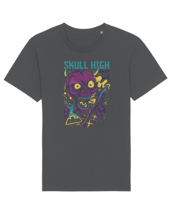 Skull High Anthracite