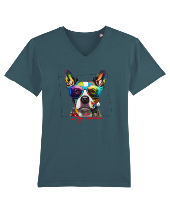 Dog lover 1 Stargazer