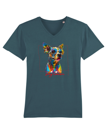 Dog lover 3 Stargazer