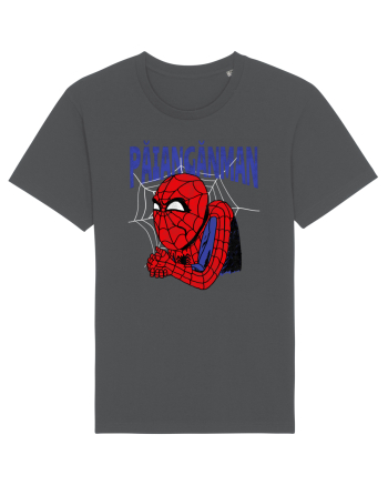 Păiangănman | Funny Spiderman Anthracite