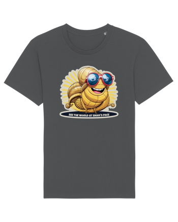 Snail Chic Anthracite