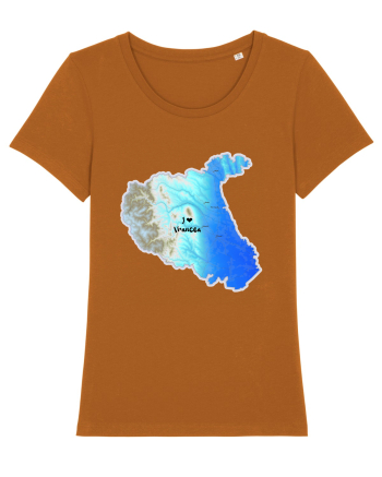 Vrancea County Map Roasted Orange