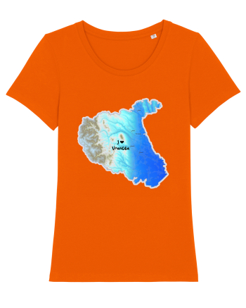 Vrancea County Map Bright Orange