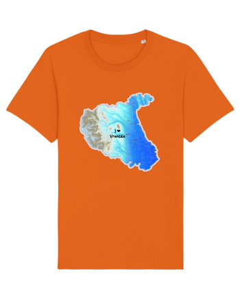 Vrancea County Map Bright Orange
