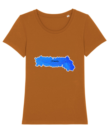 Ialomița County Map Roasted Orange