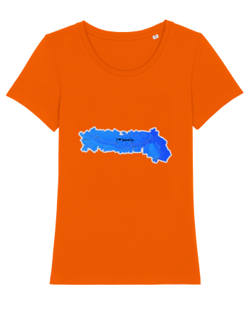 Ialomița County Map Bright Orange