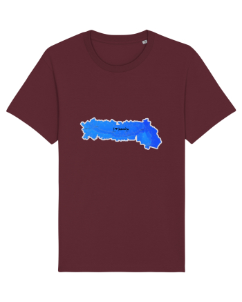 Ialomița County Map Burgundy