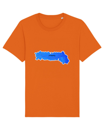 Ialomița County Map Bright Orange