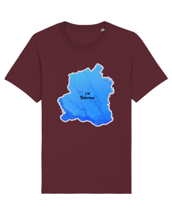Teleorman County Map Burgundy