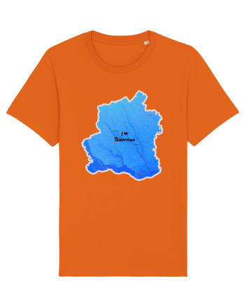 Teleorman County Map Bright Orange
