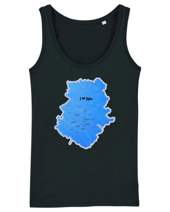 Ilfov County Map Black