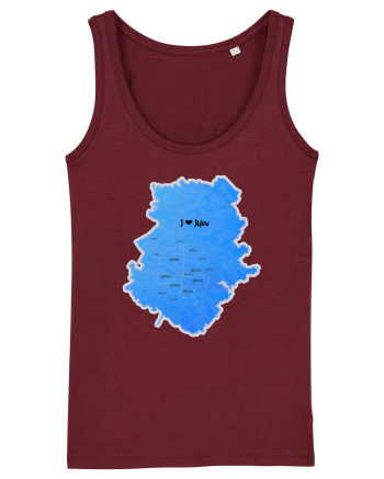 Ilfov County Map Burgundy