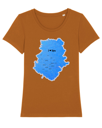 Ilfov County Map Roasted Orange