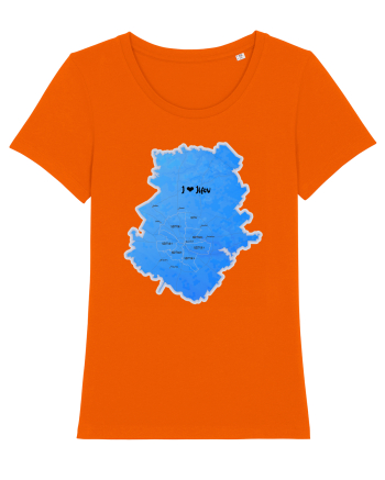 Ilfov County Map Bright Orange