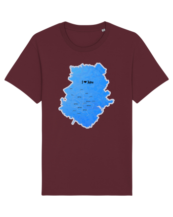 Ilfov County Map Burgundy