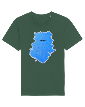 Ilfov County Map Bottle Green