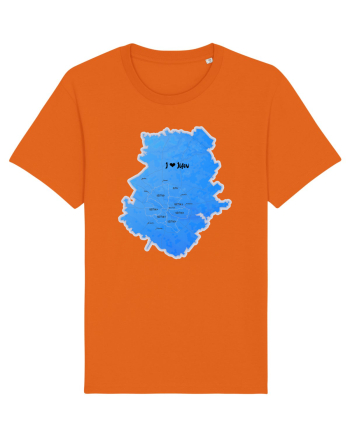 Ilfov County Map Bright Orange