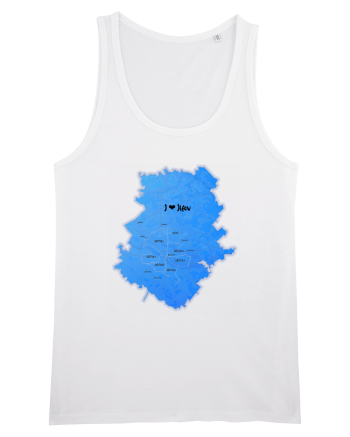 Ilfov County Map White