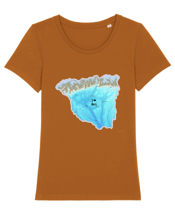 Gorj County Map Roasted Orange