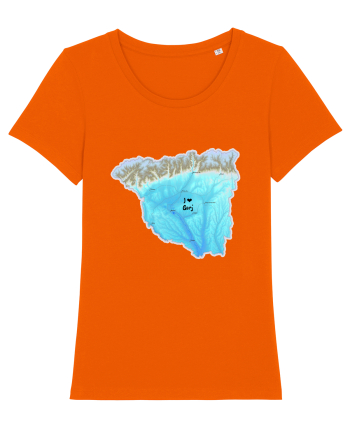 Gorj County Map Bright Orange