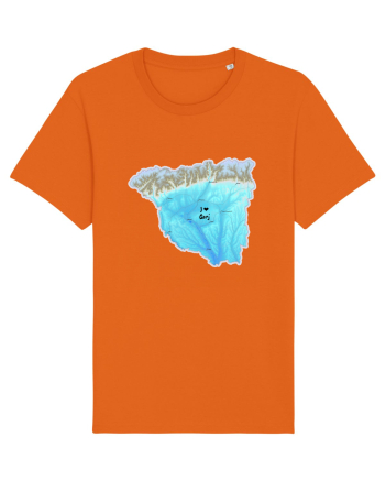 Gorj County Map Bright Orange
