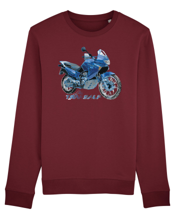 Adventure motorcycles are fun Transalp Burgundy