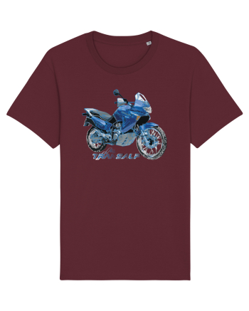 Adventure motorcycles are fun Transalp Burgundy