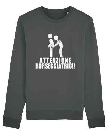 Attenzione Borseggiatrici! Anthracite