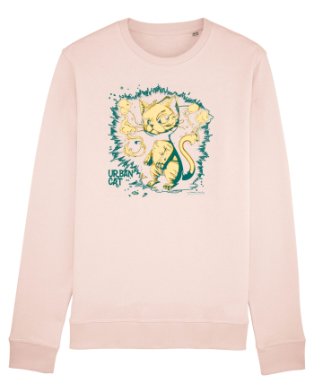 URBAN CAT 2 - pisica urbana :D Candy Pink