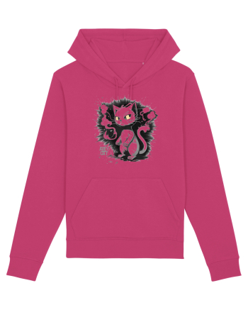 ALLEY CAT - pisica vagaboanda :D Raspberry