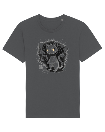 ALLEY CAT - pisica vagaboanda :D Anthracite