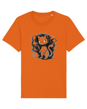 ALLEY CAT - pisica vagaboanda :D Bright Orange