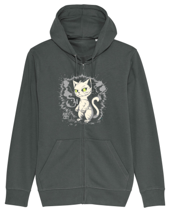 ALLEY CAT 2 - pisica vagaboanda :D Anthracite