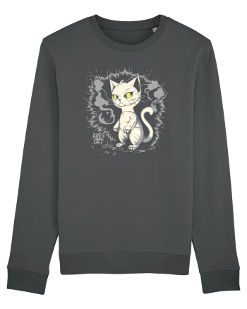 ALLEY CAT 2 - pisica vagaboanda :D Anthracite